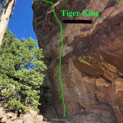 Tiger King route diagram