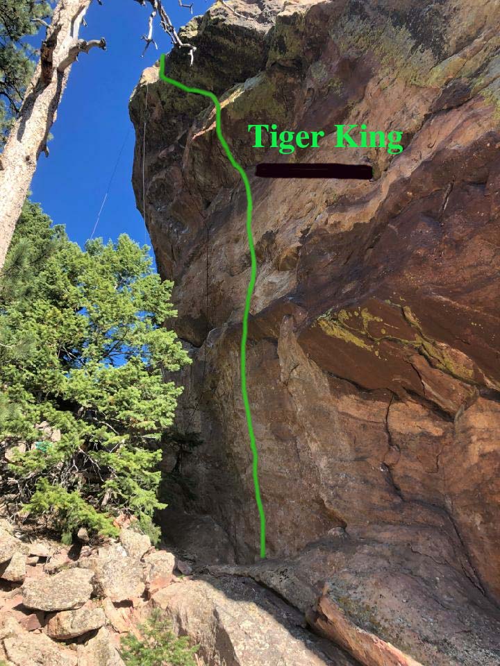 Tiger King
